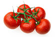 Pomodori freschi