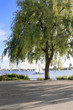 Segelboot