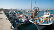 harbor with fishing boats