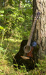 Acoustic guitar in the forest Acoustic guitar in the forest