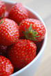 Bol de Fraises - Bowl of Strawberries