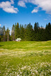 Frühling im Allgäu