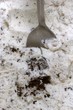 Cookies and Cream Ice Cream w/ spoon
