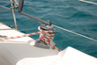 winch-j