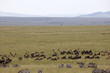 Africa. Kenia. Masai Mara National Park.