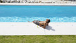 Man sunbathing with feet in pool