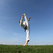 Taekwon-do Kick
