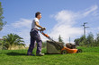 mower