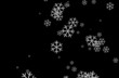 Snowflakes snowing