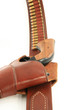 Photo: Pistol in Holster grip view Pistol in Holster grip view