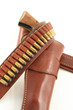 Photo: Pistol in Holster Pistol in Holster
