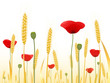 Coin de campagne Coin de campagne