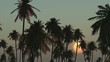 Video: sunset sunset