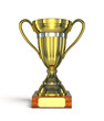 golden winner cup