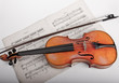 Foto: Violine Violine