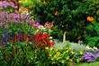 sommerblumenbeet