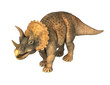 Image : Triceratops