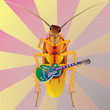 cockroach play guitar