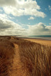 Photos : Chemin dans les dunes