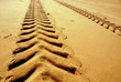 Photos : trace de v�hicule dans le sable