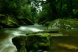 Cave Creek in New Zealand