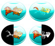 Vektor: Goldfish Goldfish