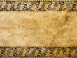 Sfondo grunge decorato