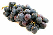 Rotwein