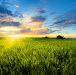 sunset colors