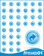Icon set 01: Blue Web