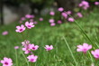 Photo: Violette Violette