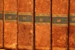 bibliothek
