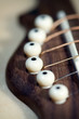 Guitar ,close up Guitar ,close up