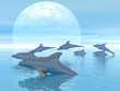 Dolphins