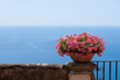 Terrace of luxury