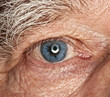 Picture of a human eye