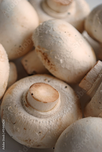 Photo: Champignons - Mushrooms Champignons - Mushrooms