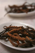 Cordyceps