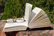 libro e occhiali 2 libro e occhiali 2
