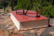 libro e occhiali 3 libro e occhiali 3