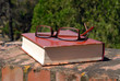 libro e occhiali 4 libro e occhiali 4