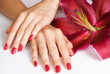 Beautiful woman hands with pink manicure and lily