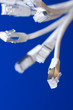 network cables