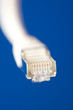 network cable