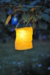 lampion