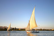 felucca on the Nile River felucca on the Nile River
