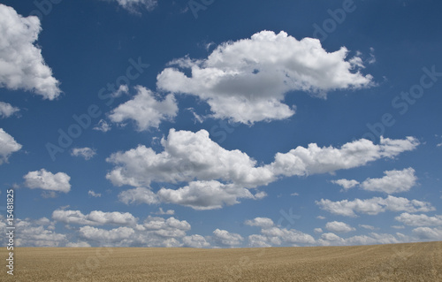 Foto: weites Land weites Land