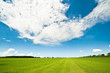 Summer background Summer background
