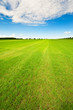 Summer background Summer background