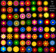 Set of vector abstract florets